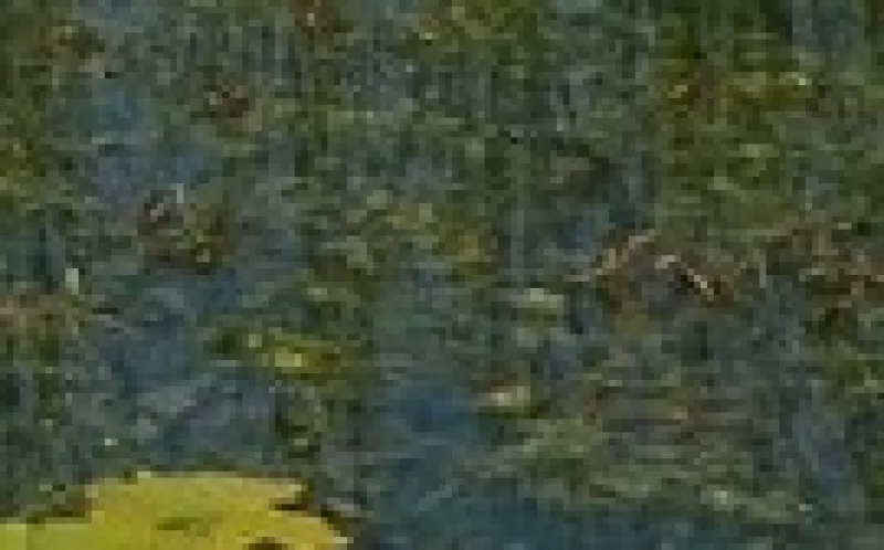 Q1